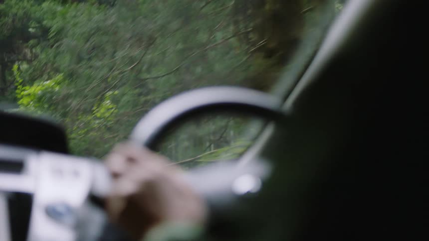 A person is driving past a forest