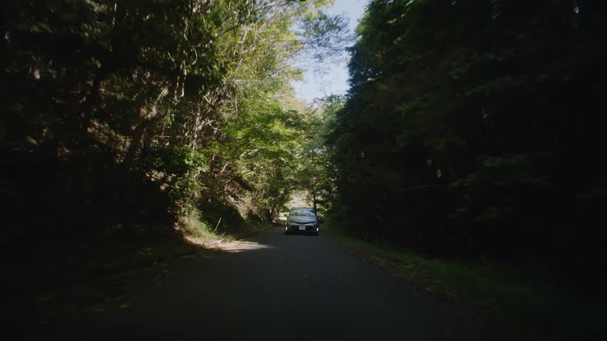 A car is driving on a road in a forest area