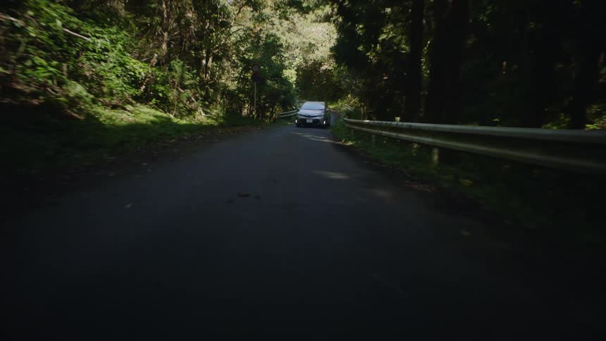 A van traveling on a winding road in the woods