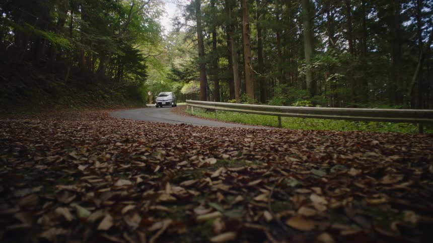 An automobile travels on a road through the woods as dry fallen leaves are covering the ground