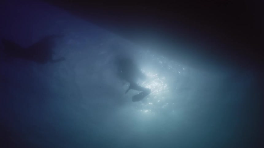 Two people are scuba diving in the ocean water