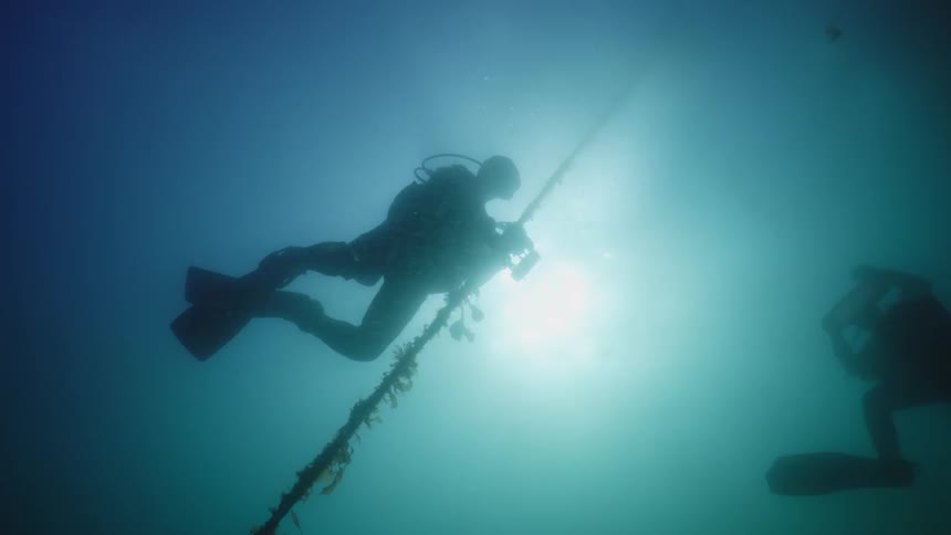 Scuba divers wearing wetsuit flippers and tank swim underwater as the sun shines