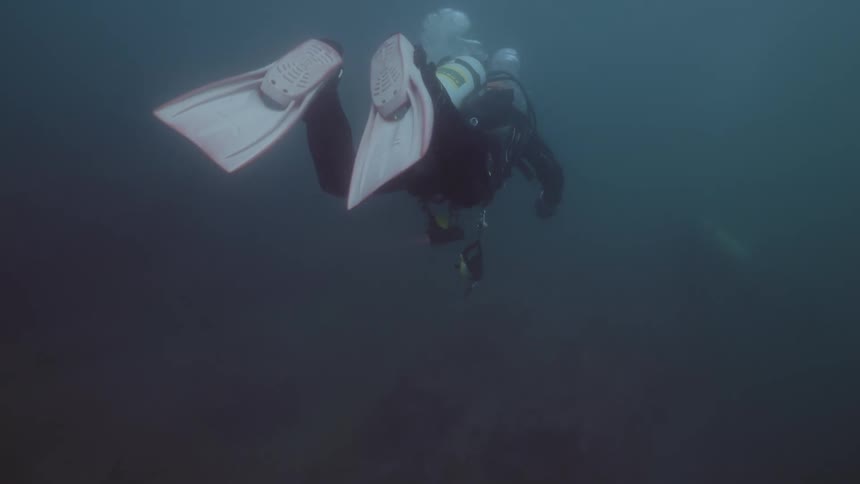 A scuba diver is carrying a flashlight as they swim underwater