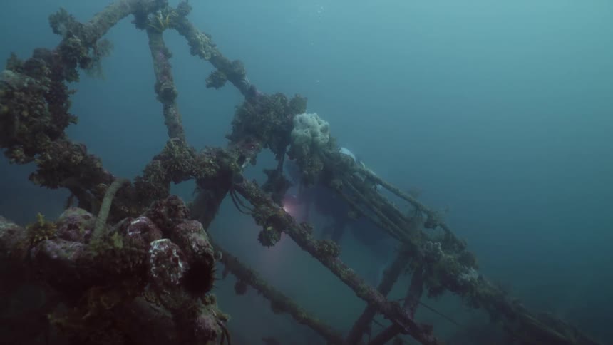 A diver explores coral covered wreckage on the sea floor with a flashlight during the day