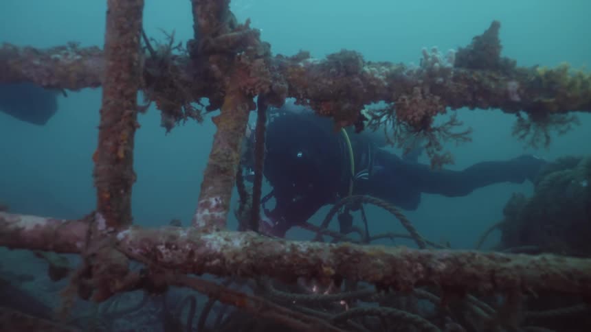 Two scuba divers are exploring the ruins of a sunken ship and they are carrying flashlights