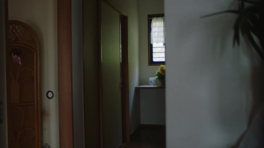 The home is empty during the day