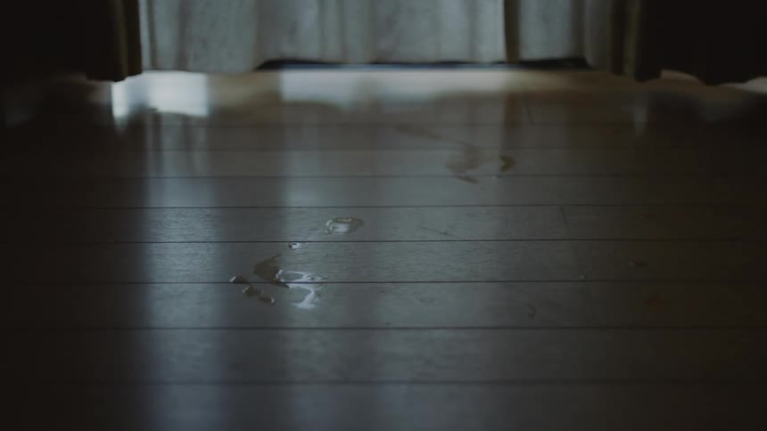 The view is of someones house and you can see that the floor is wet