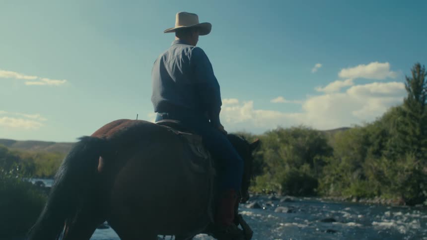 Cowboy rides horse while crossing river in woods on a sunny day