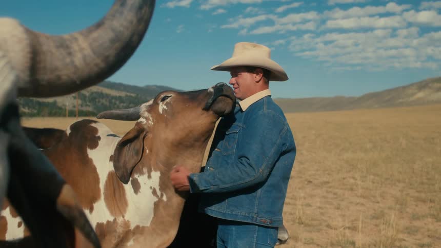 A white man is outdoors in the nature area with some cows