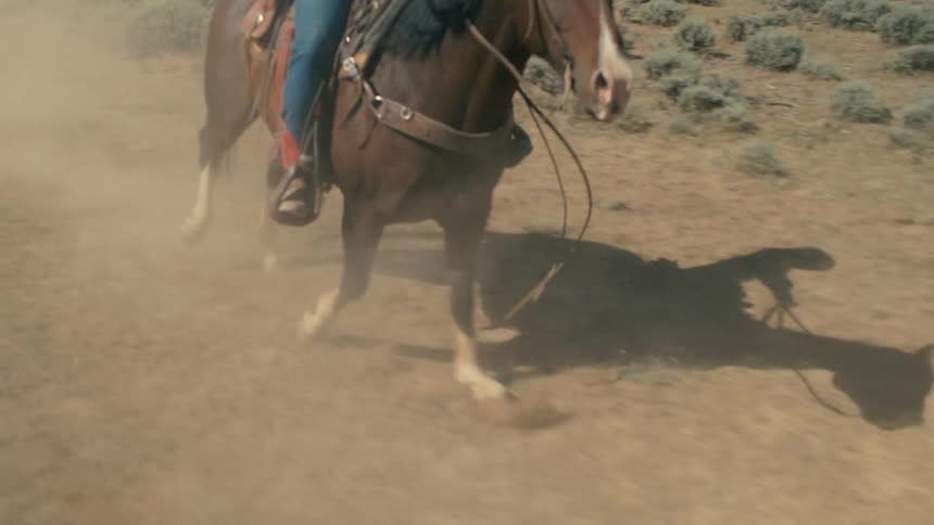 Rancher riding his horse across a field in the country