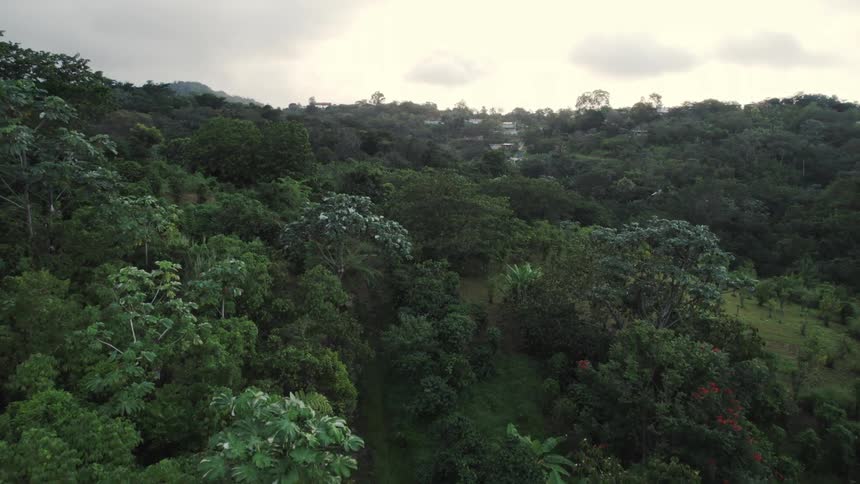 Aerial view of houses built on a mountain in the distance surrounded by a dense forest