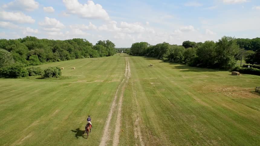 A person rides a horse through a field
