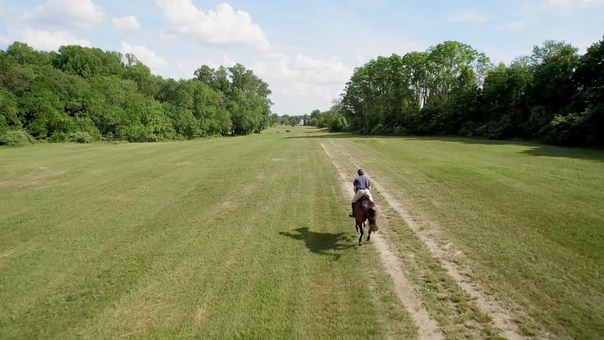 Horse Riding