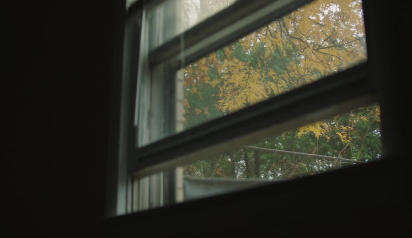 Double hung window overlooking garden with trees
