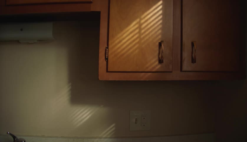 A kitchen is displayed in a house during the daytime
