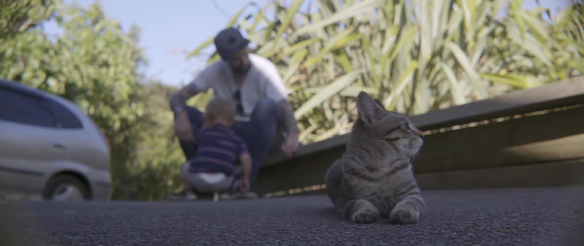 A cat lying on the ground as a man and small boy play behind it on a breezy day