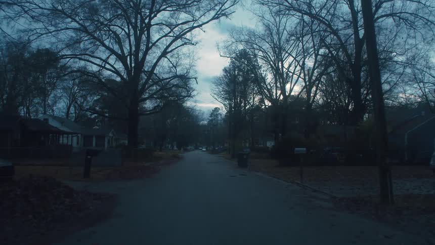A tree lined street in a suburban neighborhood dusk in winter