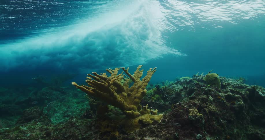 Waves are seen bellowing from underneath the water