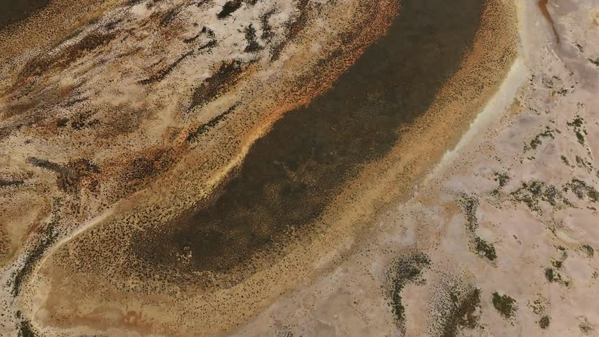 Aerial view of sparse vegetation growing on the marsh at daytime