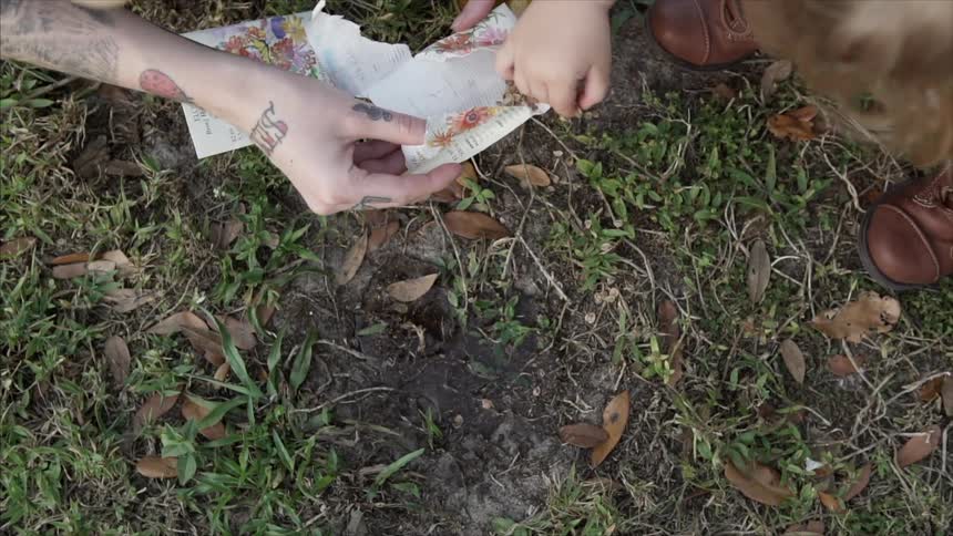 People plant some seeds in the soil