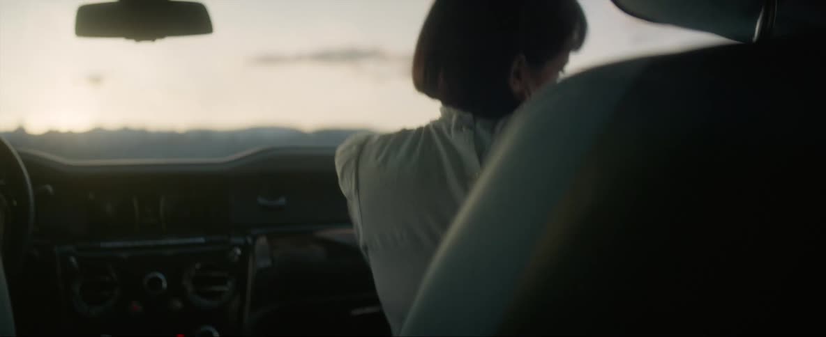 Woman picks up a gun from the seat of the car before getting out