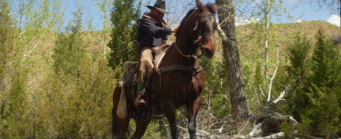 Man rides a horse through a stream in a green valley