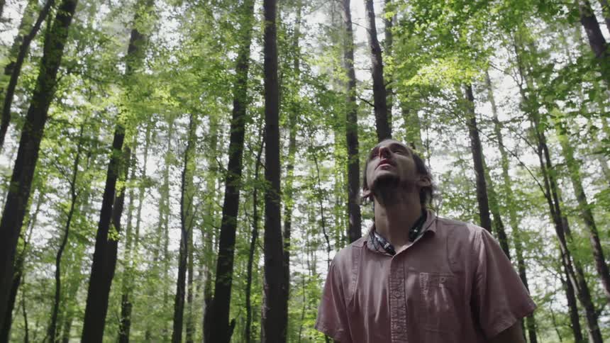 A man is looking up in a forest as he walks