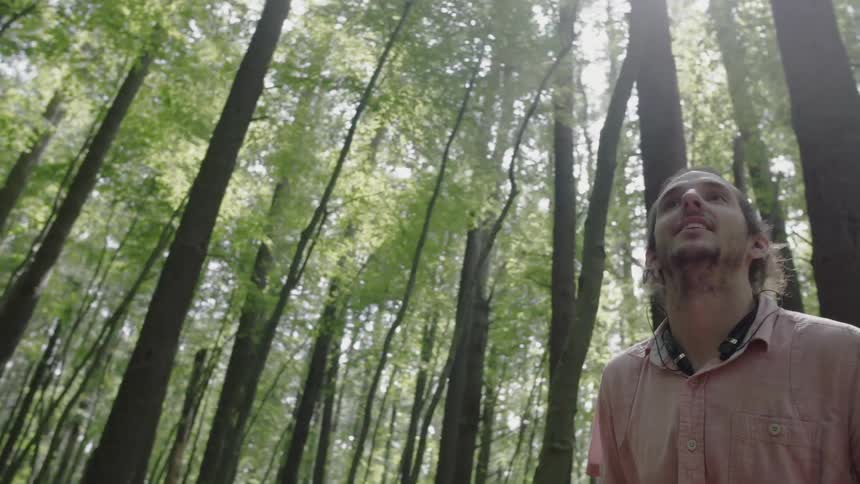 A man walks in a forest