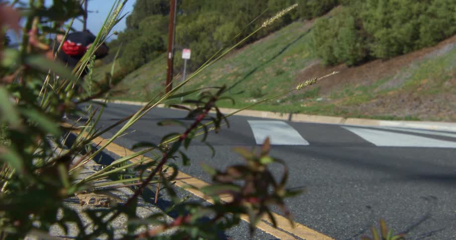 Skateboarder riding down a street along a hillside