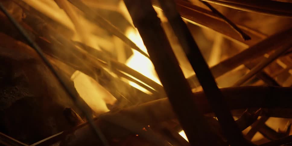 Close up of firewood and wooden sticks burning in fire
