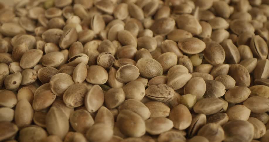 Close up of a pile of golden pistachios