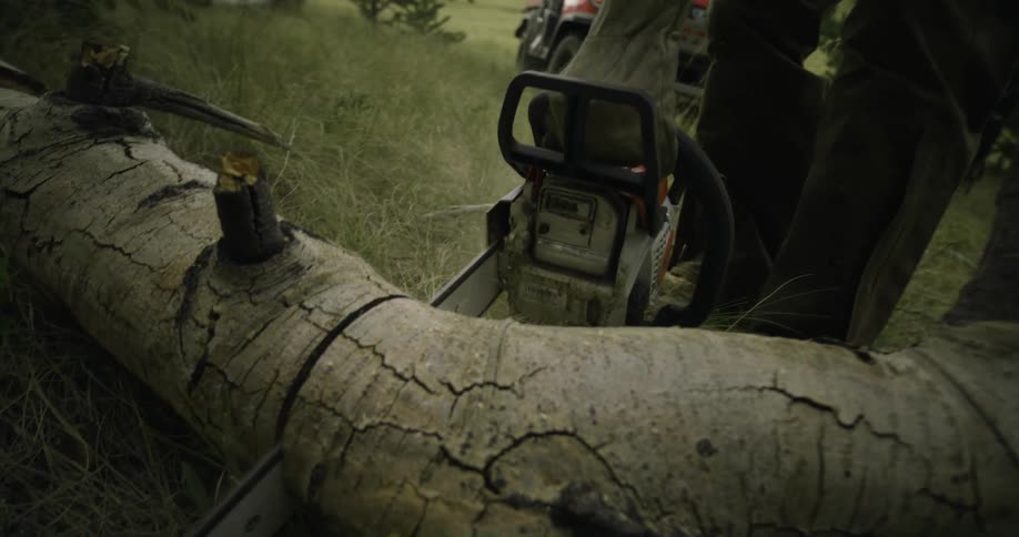 A person saws a tree