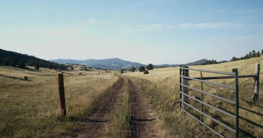 Vehicle drives on country road in the fields