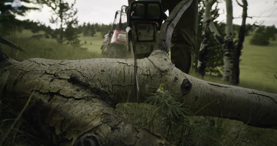A person uses a chainsaw to cut a thick branch from a fallen tree