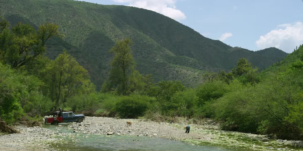 Boy throws stones while dogs run about shore of river and two men fill large tank with water