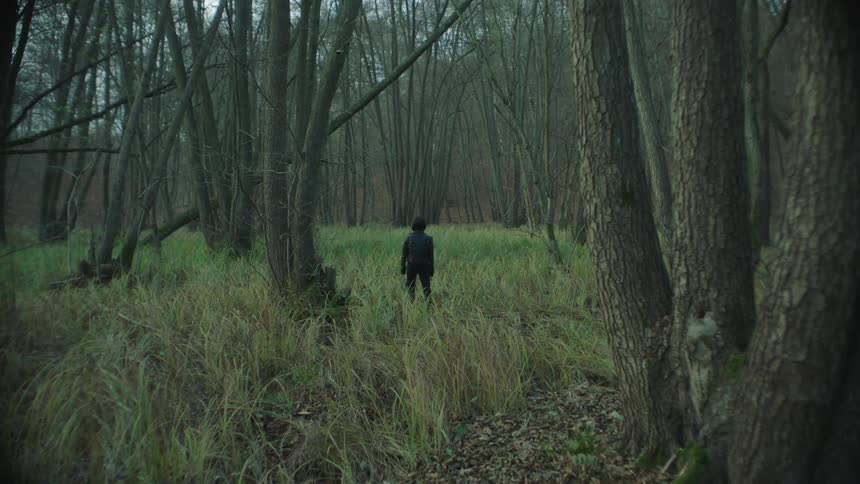 A woman wearing a black leather jacket is walking through tall grass into the woods