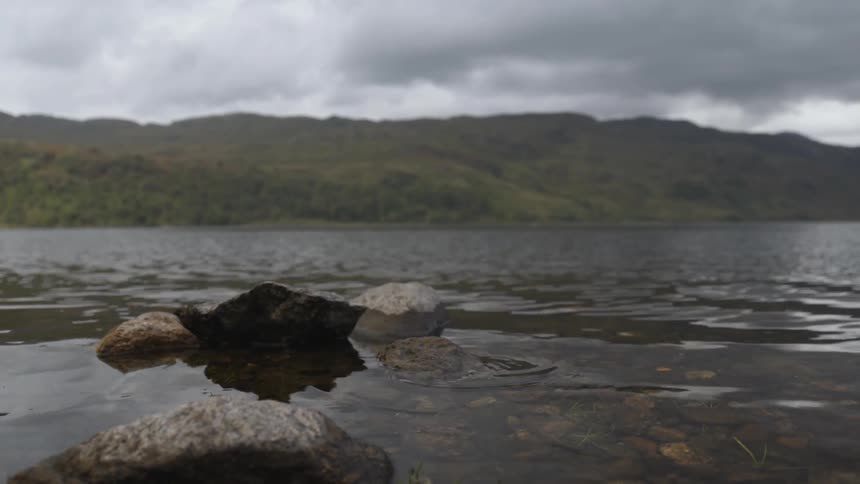 The water touches the shore