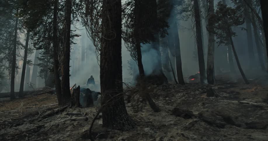 A man moves over a fallen tree near burning branches in a smoke filled forest