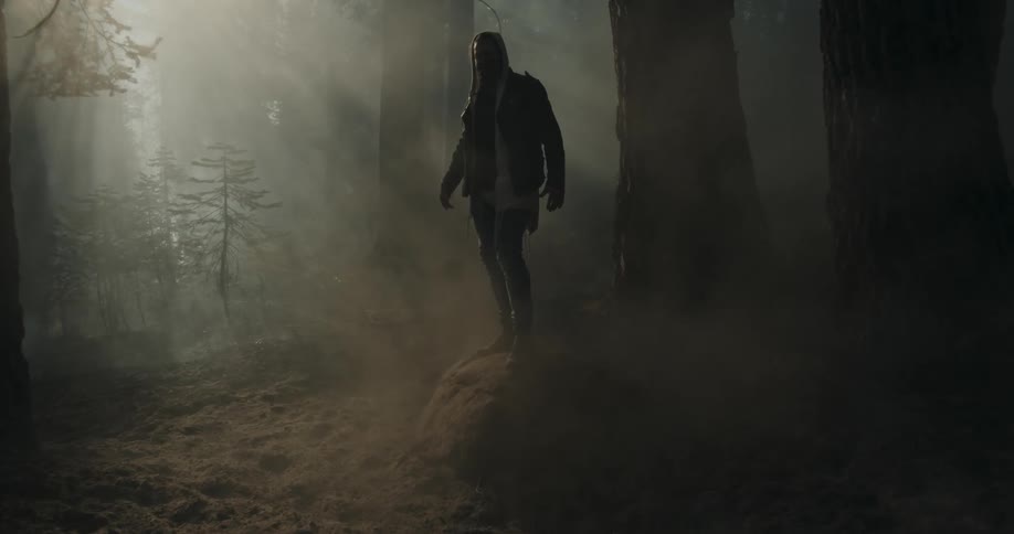 Silhouette of a hooded man standing in a forest surrounded by smoke under sunlight
