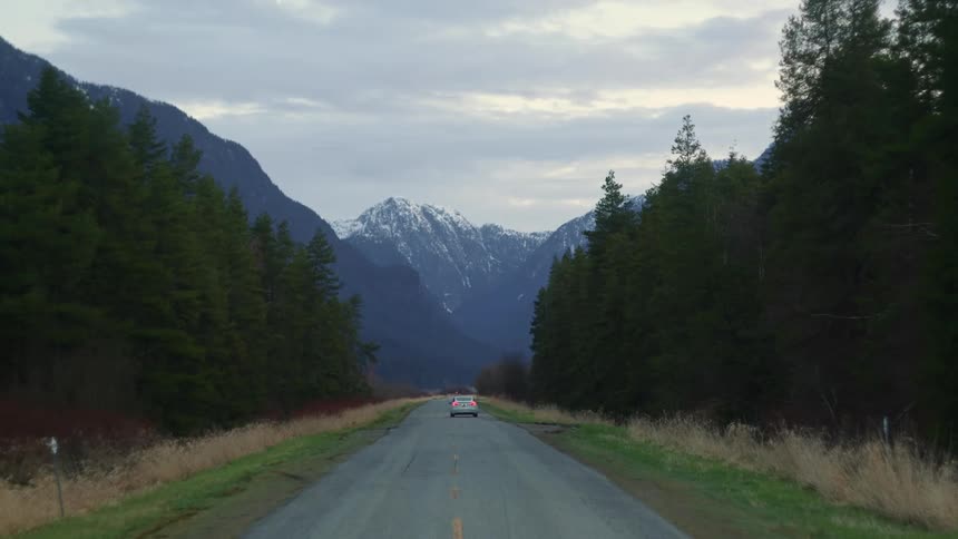 A vehicle drives past a forest and toward snow capped mountains