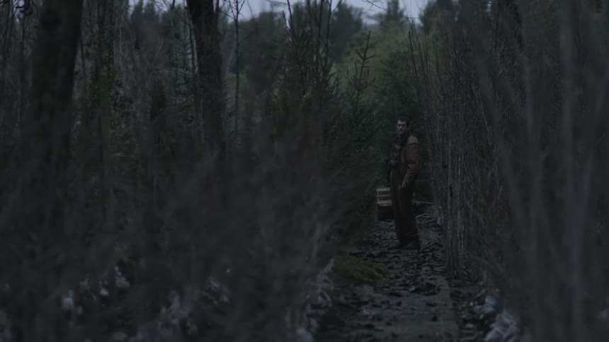A man is hiking in the forest
