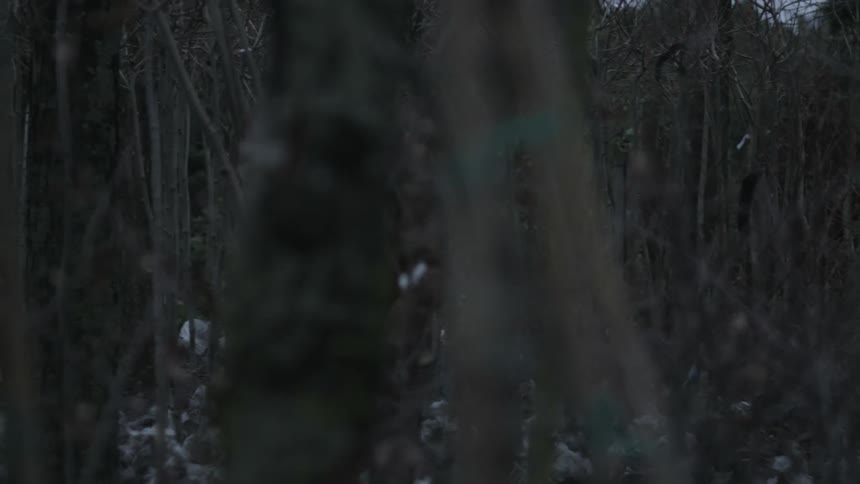 Homeless man wanders through a forest with a crate on his hands at morning