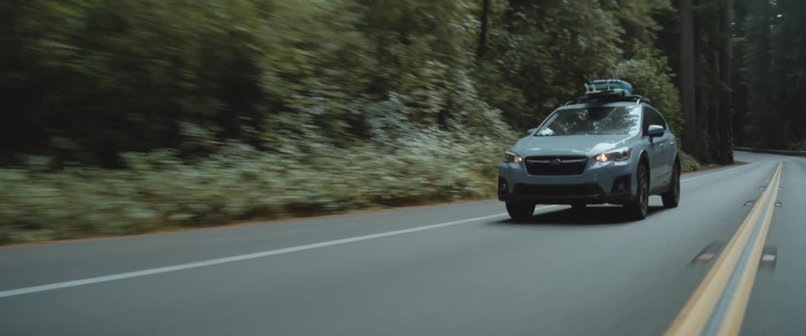 An automobile with luggage on the roof is traveling on a forest mountain road