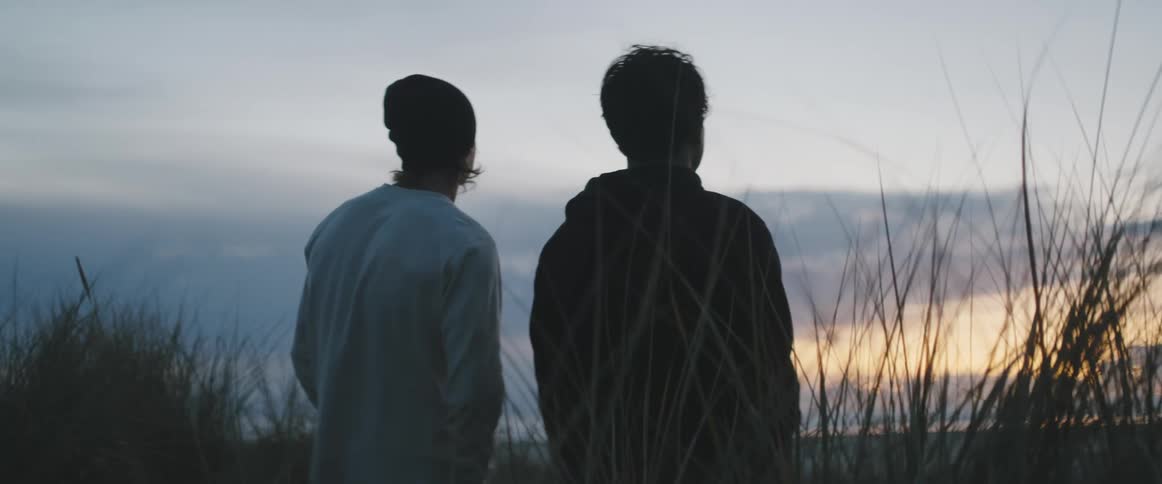 Two men are standing among tall weeds and plants overlooking the coastline