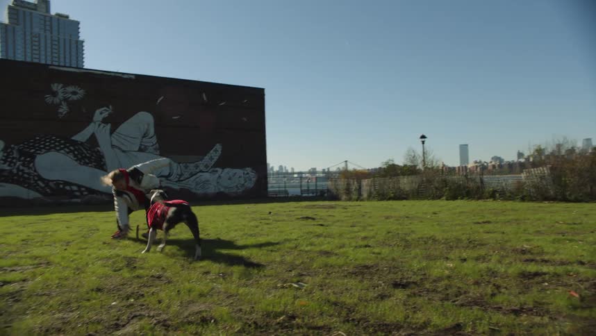 A man and woman throw a frisbee for a dog and the dog happily runs back and forth between them