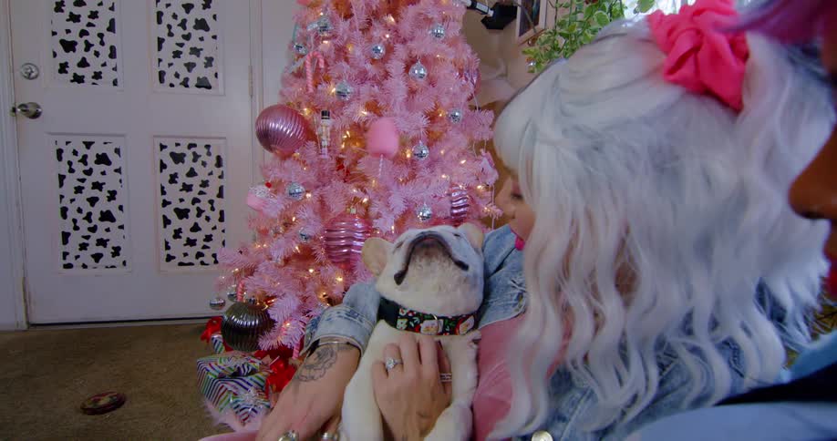 Young happy couple sitting next to a colorful christmas tree with their dog