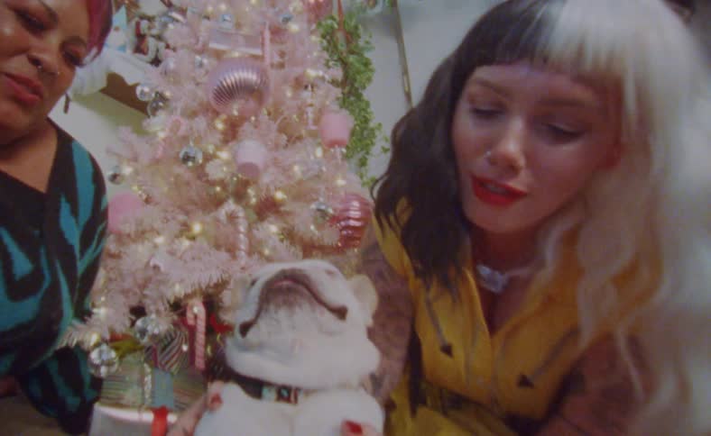 Young happy couple playing with their dog in front of a colorful christmas tree