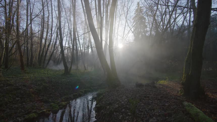 An FPV drone shot of a winding stream through a forest
