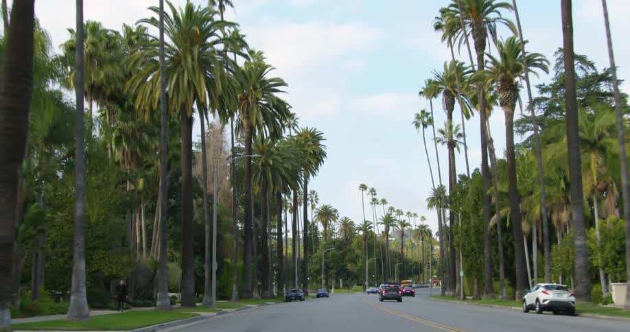 Cars are parked on the roadside and traffic passes on a street lined with palm trees under a cloudy sky