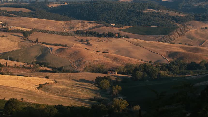 Farm houses and crop fields dot hills bordered by forest